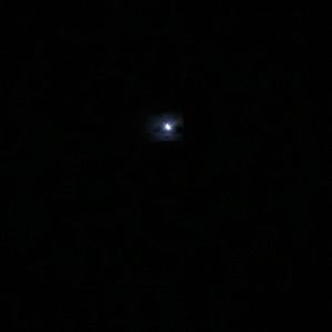 Meet your Posher, Judy